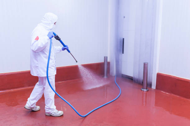 Best Graffiti Removal Services in Key Biscayne, FL